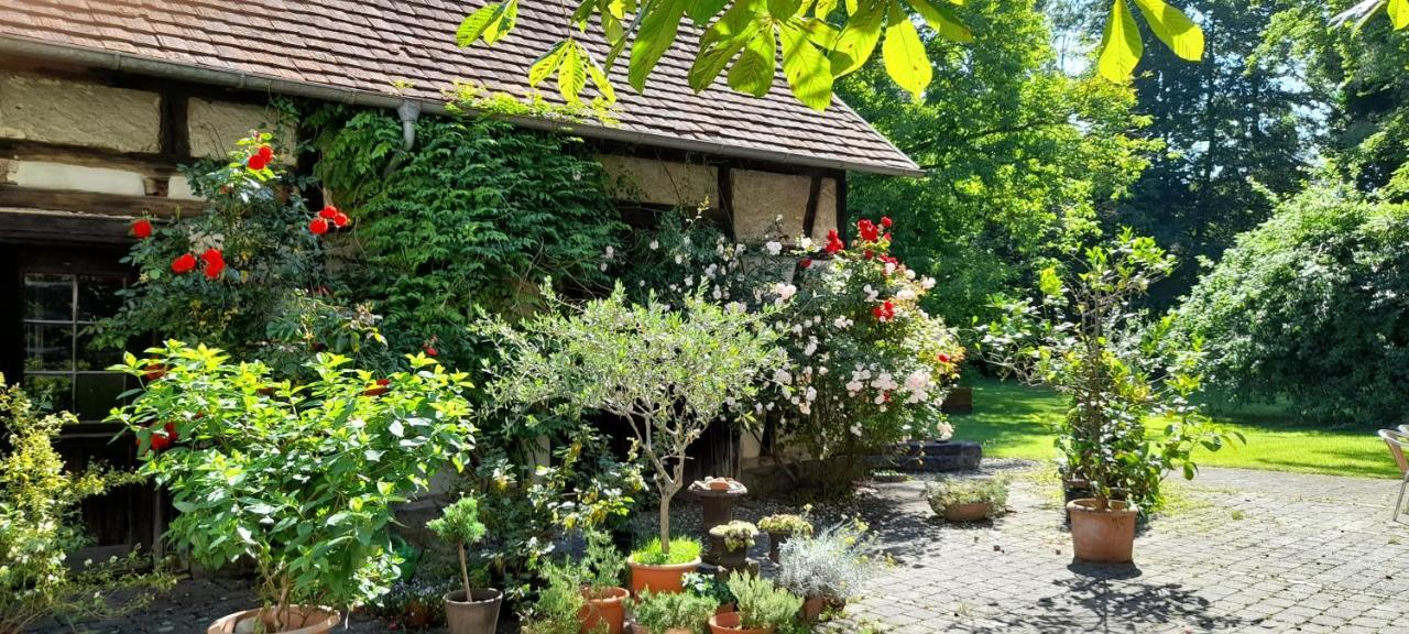 Villaflora Gaestehaus Riedlingen Εξωτερικό φωτογραφία