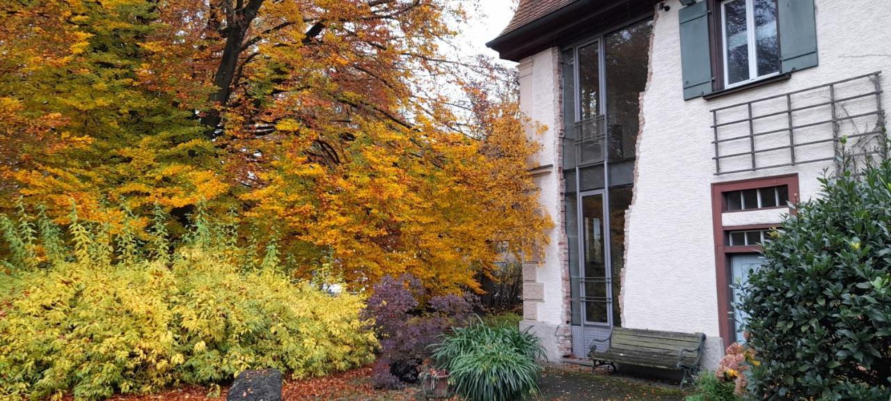 Villaflora Gaestehaus Riedlingen Εξωτερικό φωτογραφία