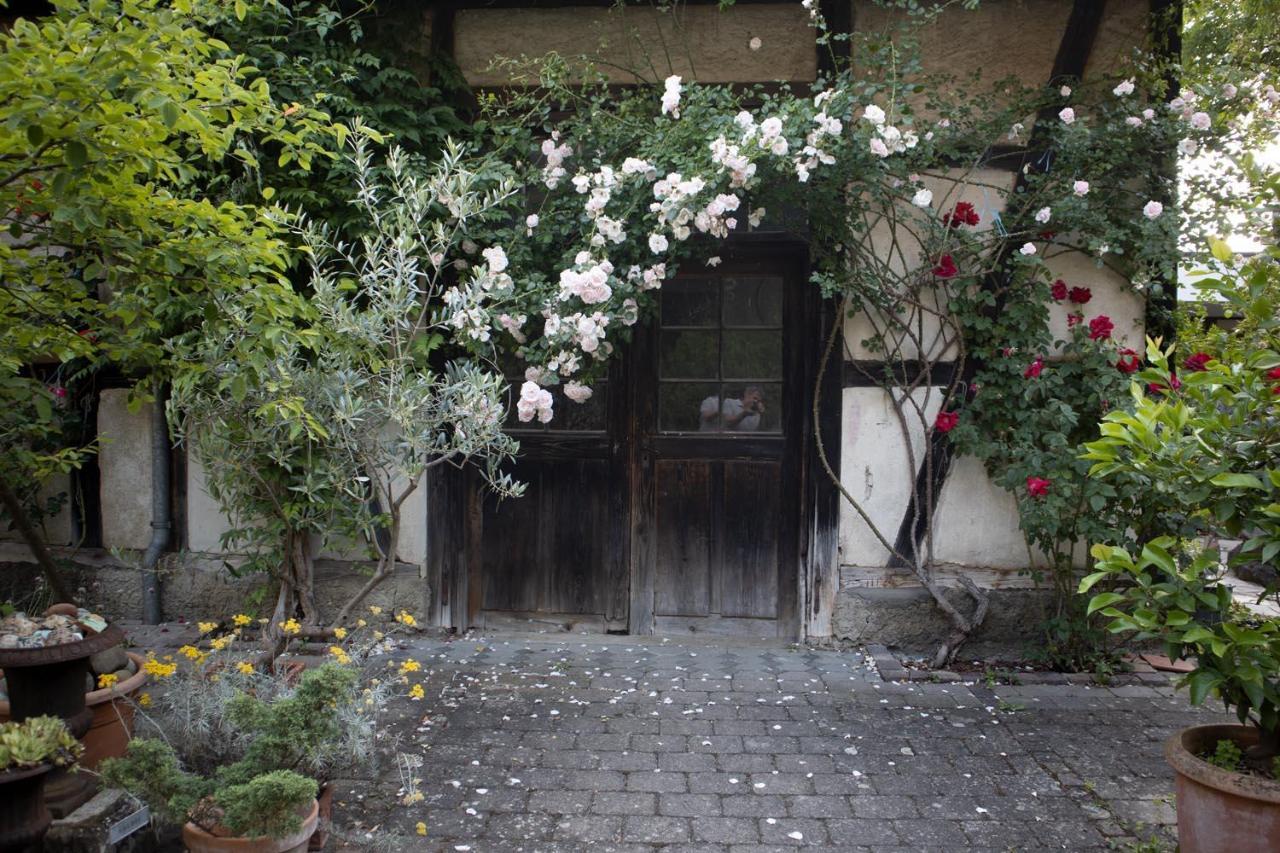 Villaflora Gaestehaus Riedlingen Εξωτερικό φωτογραφία